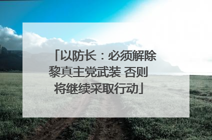 以防长：必须解除黎真主党武装 否则将继续采取行动