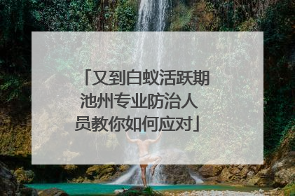 又到白蚁活跃期 池州专业防治人员教你如何应对