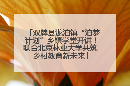 双牌县泷泊镇“泊梦计划”乡镇学堂开讲！联合北京林业大学共筑乡村教育新未来