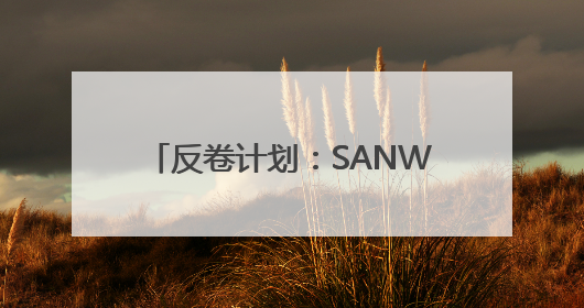 反卷计划：SANWA山业人体工学鼠标，手腕从此“躺赢”