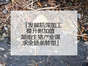 发展精深加工 提升附加值 湖南生猪产业谋求全链条转型