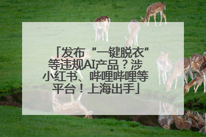 发布“一键脱衣”等违规AI产品？涉小红书、哔哩哔哩等平台！上海出手