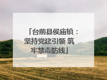 台前县侯庙镇：坚持党建引领 筑牢禁毒防线