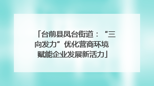 台前县凤台街道：“三向发力”优化营商环境 赋能企业发展新活力