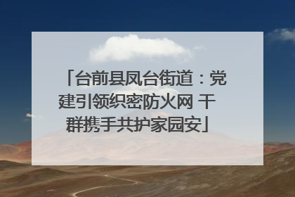 台前县凤台街道：党建引领织密防火网 干群携手共护家园安