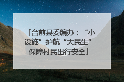 台前县委编办：“小设施”护航“大民生” 保障村民出行安全