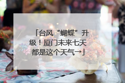 台风“蝴蝶”升级！厦门未来七天都是这个天气→