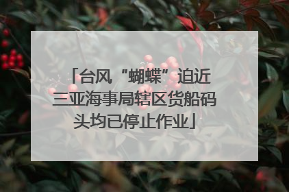 台风“蝴蝶”迫近 三亚海事局辖区货船码头均已停止作业