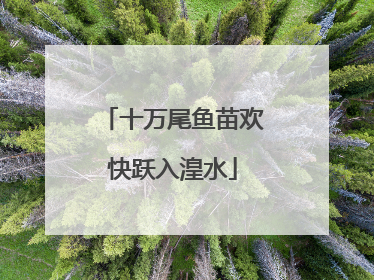 十万尾鱼苗欢快跃入湟水