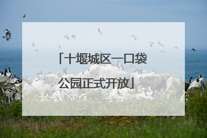 十堰城区一口袋公园正式开放