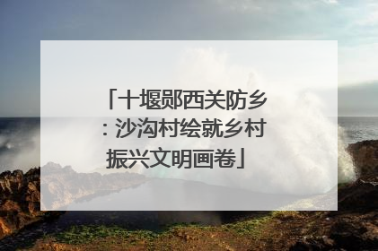 十堰郧西关防乡：沙沟村绘就乡村振兴文明画卷