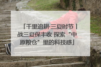 千里追耕·三夏时节丨战三夏保丰收 探索“中原粮仓”里的科技感