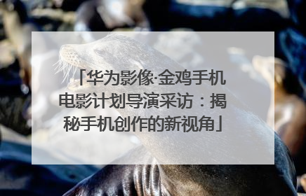华为影像·金鸡手机电影计划导演采访：揭秘手机创作的新视角