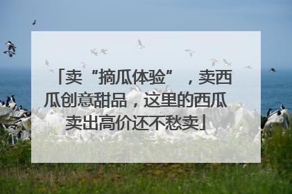 卖“摘瓜体验”，卖西瓜创意甜品，这里的西瓜卖出高价还不愁卖