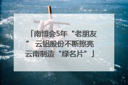 南博会5年“老朋友” 云铝股份不断擦亮云南制造“绿名片”