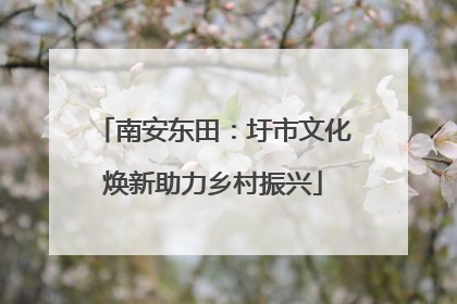 南安东田：圩市文化焕新助力乡村振兴