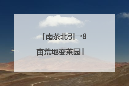 南茶北引→8亩荒地变茶园