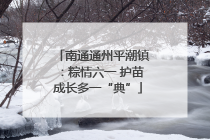 南通通州平潮镇：粽情六一 护苗成长多一“典”