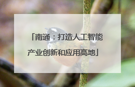 南通：打造人工智能产业创新和应用高地