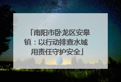 南阳市卧龙区安皋镇：以行动排查水域 用责任守护安全