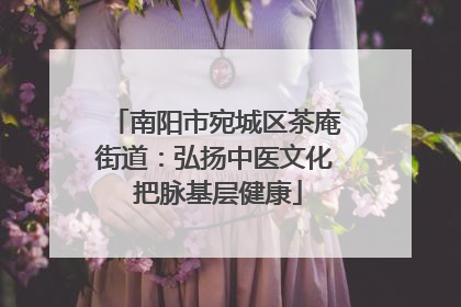 南阳市宛城区茶庵街道：弘扬中医文化 把脉基层健康