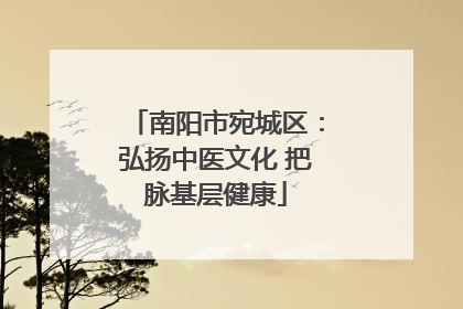 南阳市宛城区：弘扬中医文化 把脉基层健康