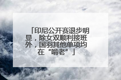 印尼公开赛退步明显，除女双顺利接班外，国羽其他单项均在“啃老”