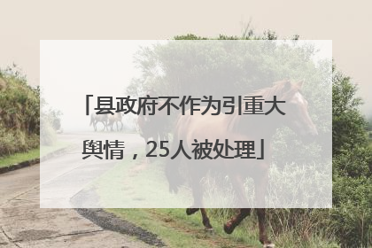 县政府不作为引重大舆情，25人被处理