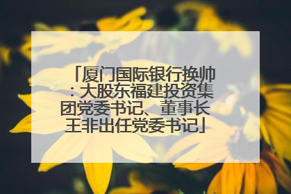 厦门国际银行换帅：大股东福建投资集团党委书记、董事长王非出任党委书记