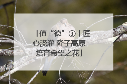 值“德”③丨匠心浇灌 隆子高原培育希望之花