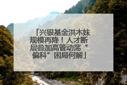 兴银基金洪木妹规模再降！人才断层叠加高管动荡“偏科”困局何解