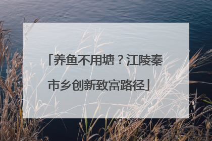养鱼不用塘？江陵秦市乡创新致富路径