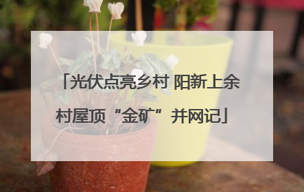 光伏点亮乡村 阳新上余村屋顶“金矿”并网记
