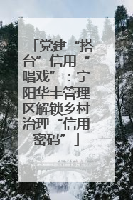 党建“搭台”信用“唱戏”：宁阳华丰管理区解锁乡村治理“信用密码”