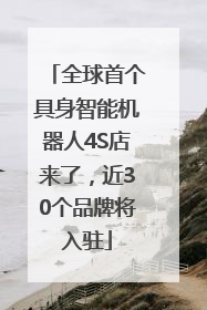 全球首个具身智能机器人4S店来了，近30个品牌将入驻