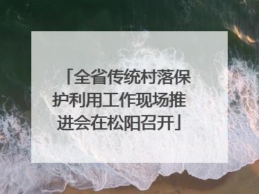 全省传统村落保护利用工作现场推进会在松阳召开
