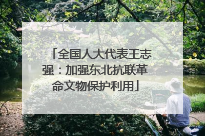 全国人大代表王志强：加强东北抗联革命文物保护利用