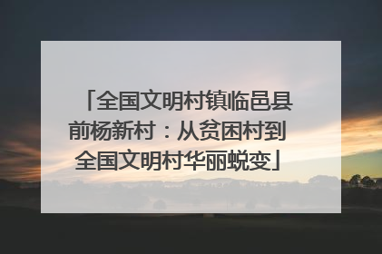 全国文明村镇临邑县前杨新村：从贫困村到全国文明村华丽蜕变