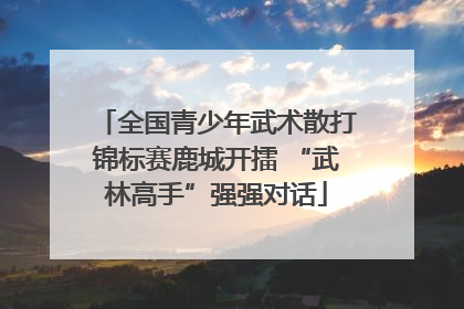 全国青少年武术散打锦标赛鹿城开擂 “武林高手”强强对话
