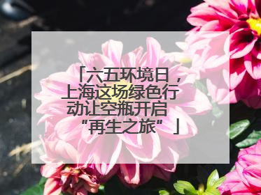 六五环境日，上海这场绿色行动让空瓶开启 “再生之旅”