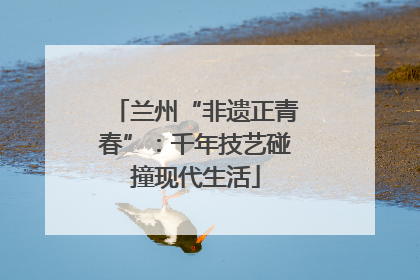 兰州“非遗正青春”：千年技艺碰撞现代生活