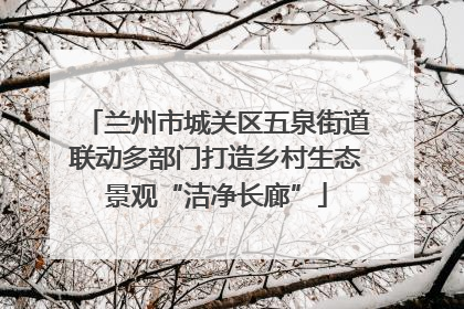 兰州市城关区五泉街道联动多部门打造乡村生态景观“洁净长廊”