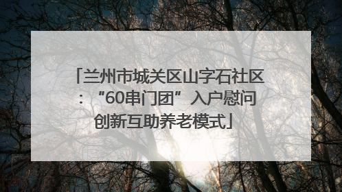 兰州市城关区山字石社区：“60串门团”入户慰问 创新互助养老模式