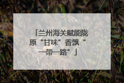 兰州海关赋能陇原“甘味”香飘“一带一路”