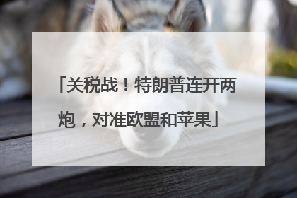 关税战！特朗普连开两炮，对准欧盟和苹果