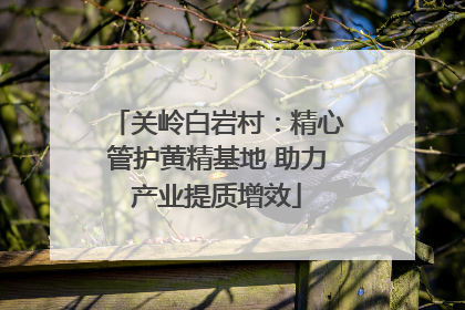 关岭白岩村：精心管护黄精基地 助力产业提质增效