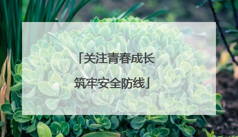 关注青春成长 筑牢安全防线
