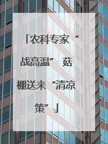 农科专家“战高温” 菇棚送来“清凉策”