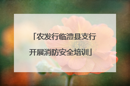 农发行临澧县支行开展消防安全培训