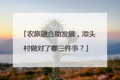 农旅融合助发展，潭头村做对了哪三件事？